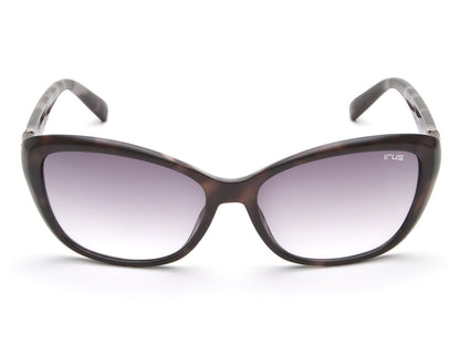 IRUS S1048 Square Women Sunglasses