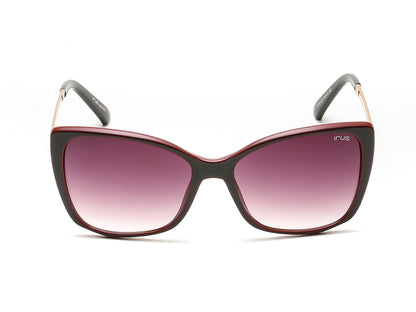 IRUS S1170 Butterfly Women Sunglasses